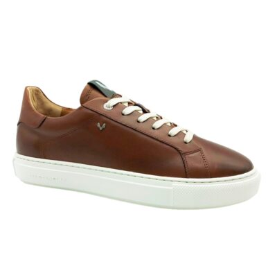 Martinelli Sneaker Básico Marrón